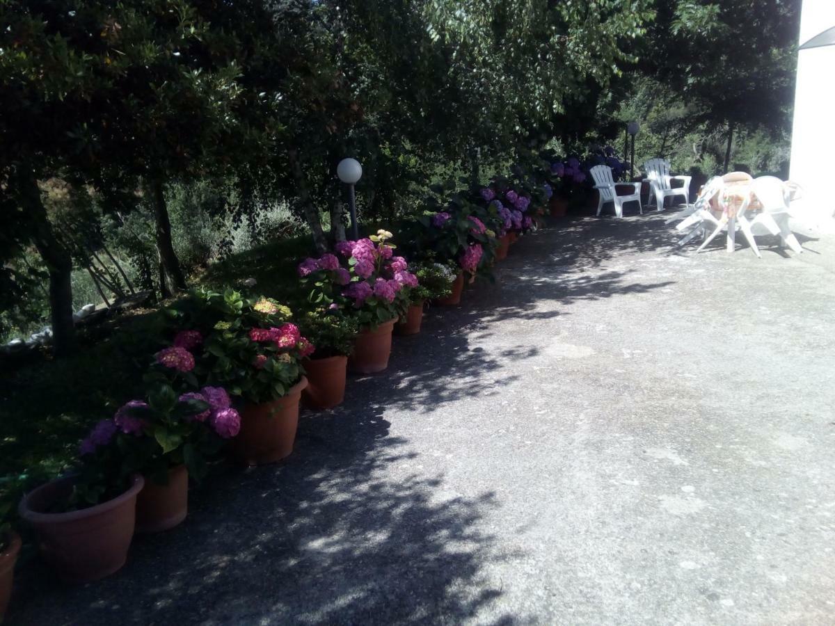 Alloggio Turistico Витербо Экстерьер фото